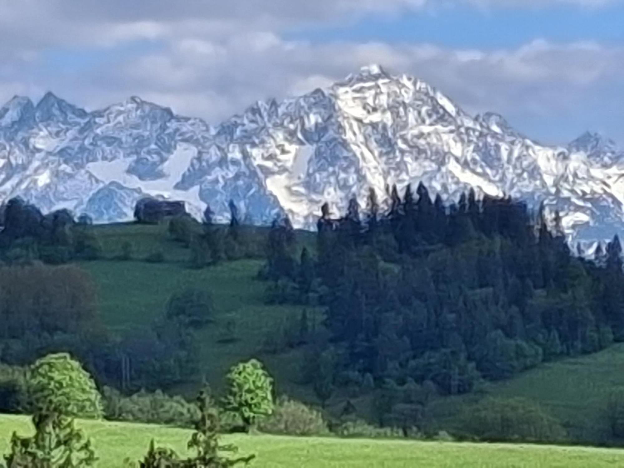 Dom Z Widokiem Na Wierchy - Panorama Na Tatry - Traditional Folk House Gliczarów Exterior foto