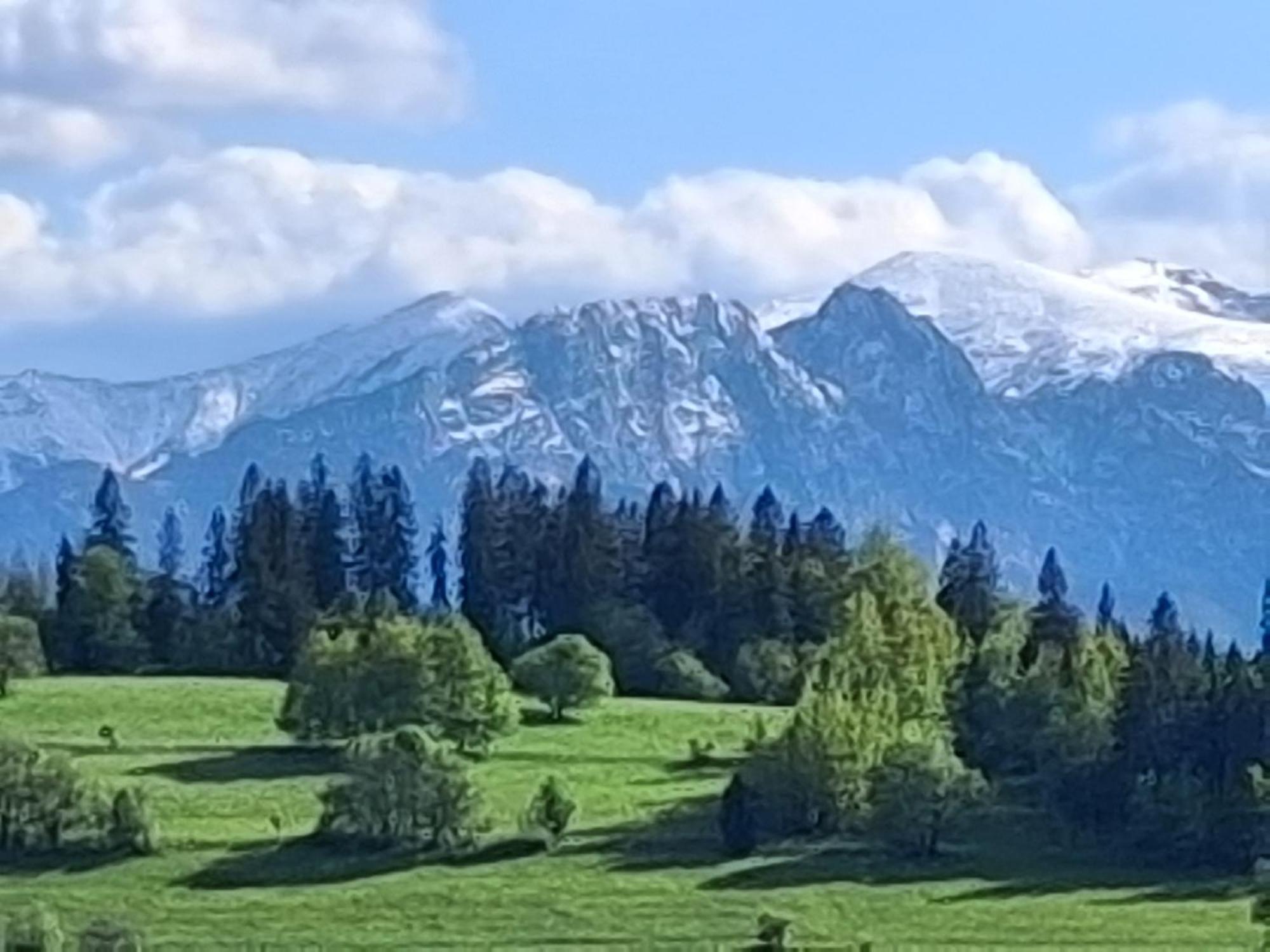 Dom Z Widokiem Na Wierchy - Panorama Na Tatry - Traditional Folk House Gliczarów Exterior foto